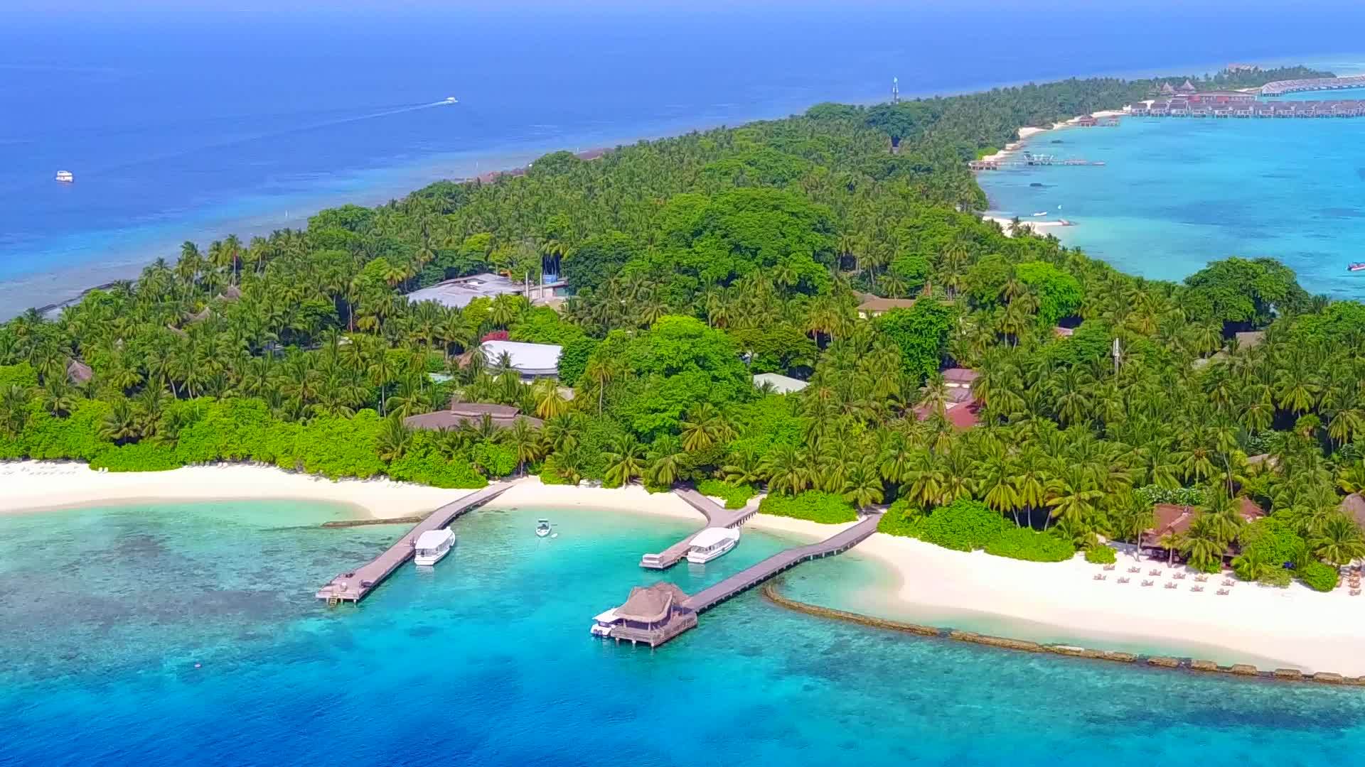 热带旅游海滩以浅沙为背景沿着蓝色绿色海洋行驶视频的预览图