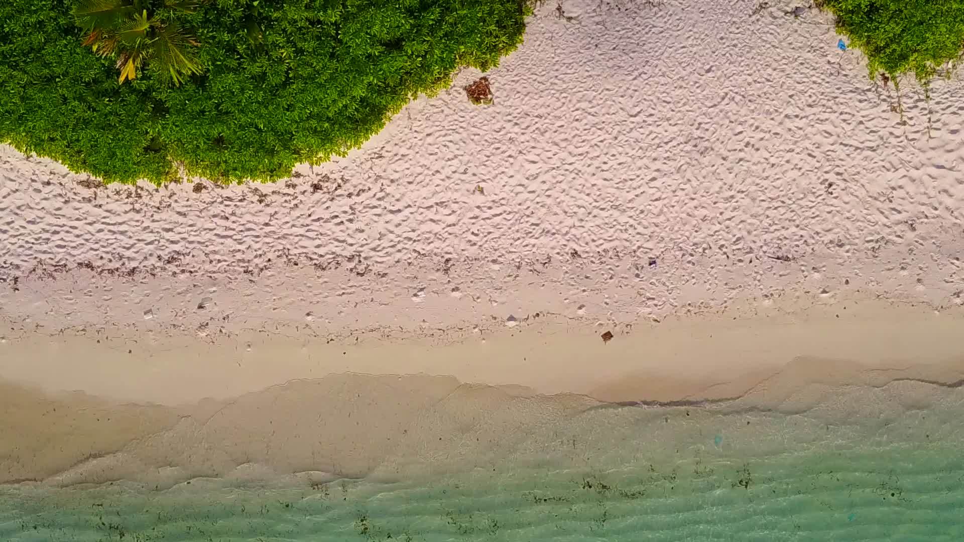 热带海岸海滩的野生生物通过白色沙滩背景的透明海洋视频的预览图