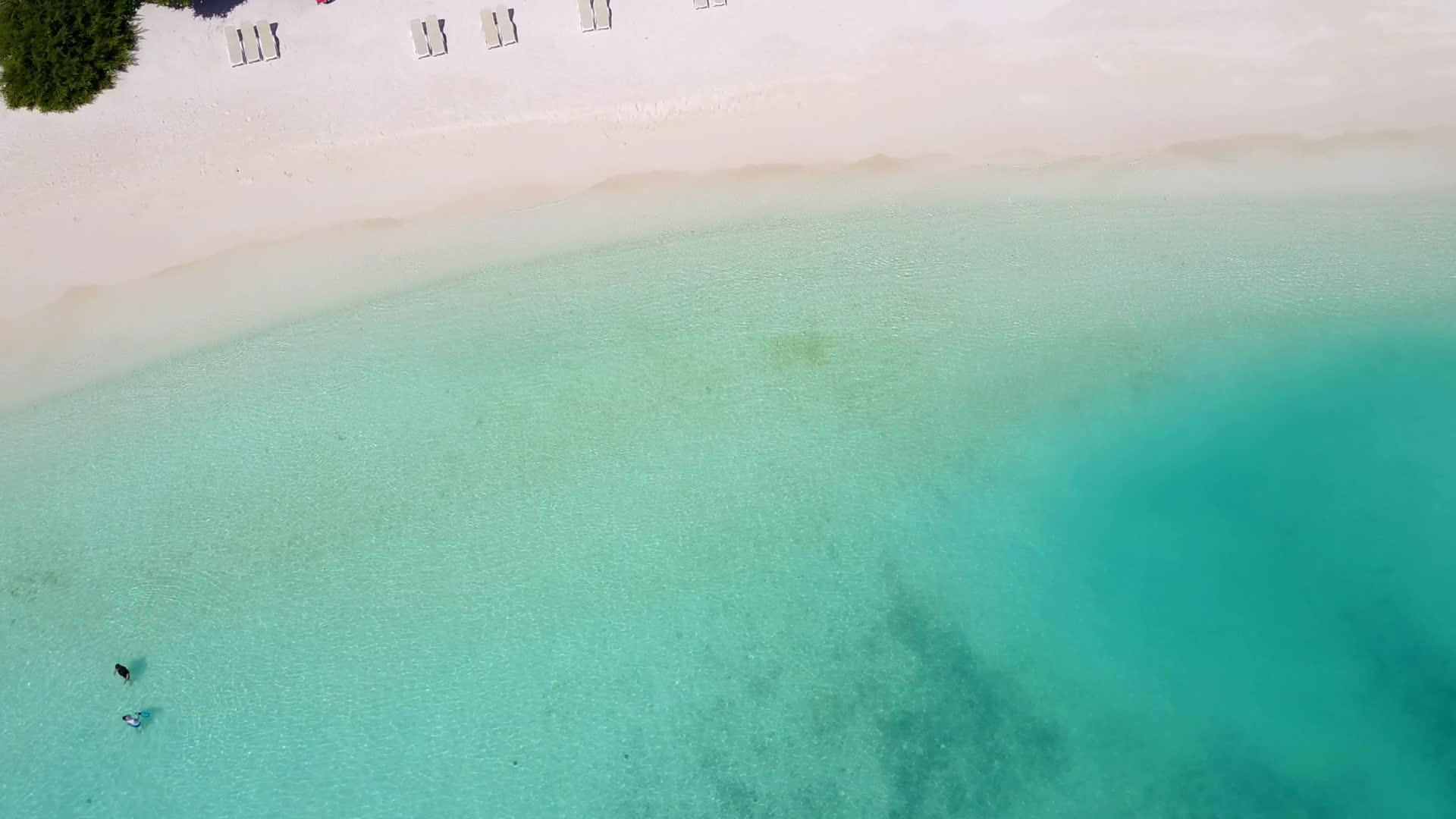 美丽的海滩野生动物空中无人机天空由蓝色泻湖和干净视频的预览图