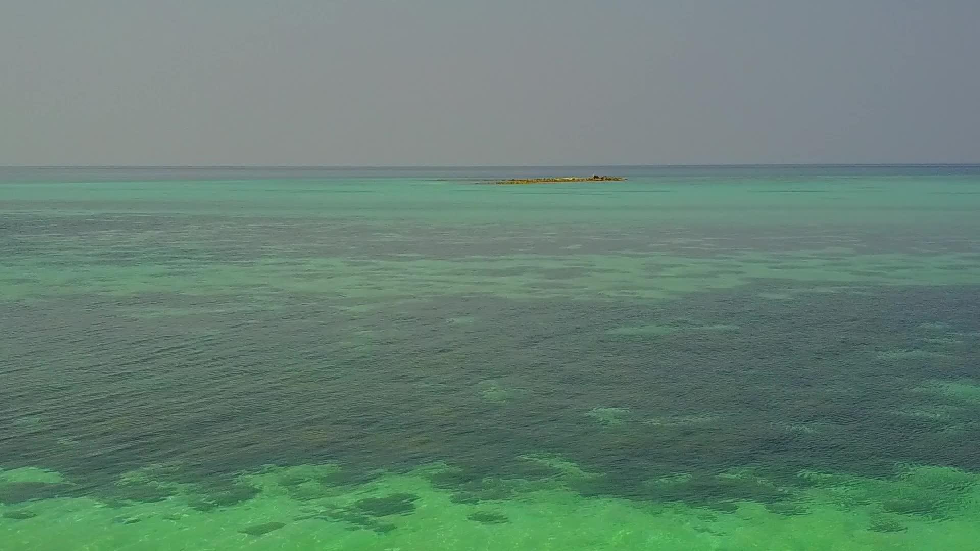 白沙背景蓝海海岸海滩野生动物空中无人机全景视频的预览图
