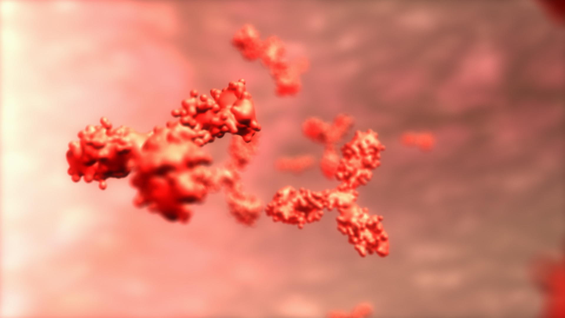 t细胞人体抗体显微镜视频的预览图