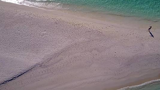 蓝色浅滩野生生物由蓝环礁湖形成背景为明沙视频的预览图