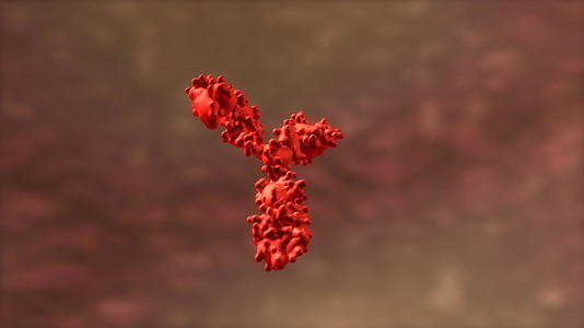 t细胞抗体视频的预览图
