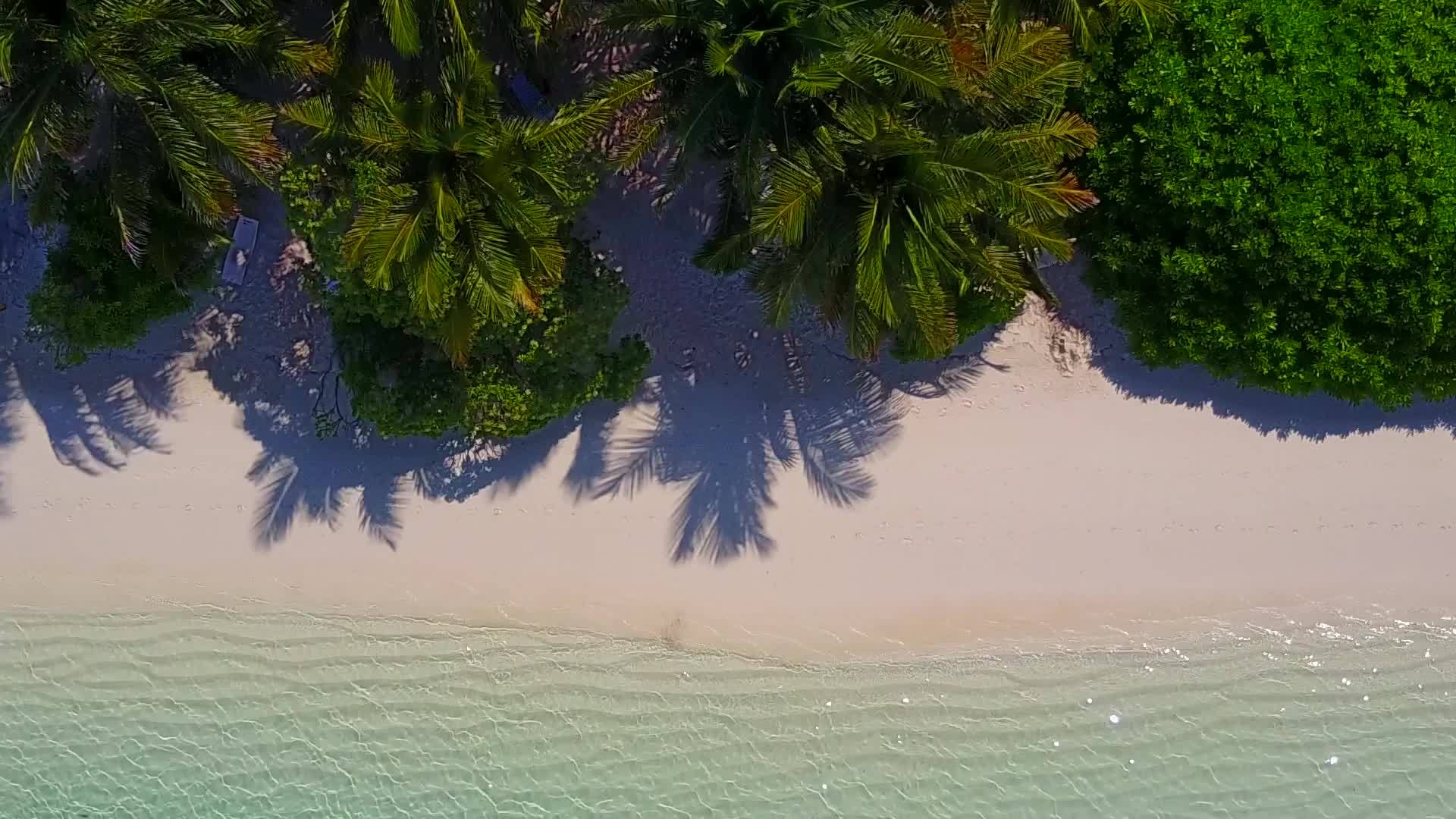 海洋海滩的生活方式绘制在白色海滩背景的蓝色海平面上视频的预览图