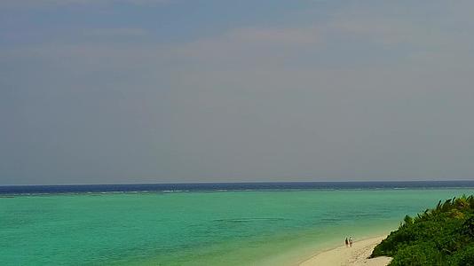 白沙的背景是清晰的海洋海岸海滩野生动物空中海景视频的预览图
