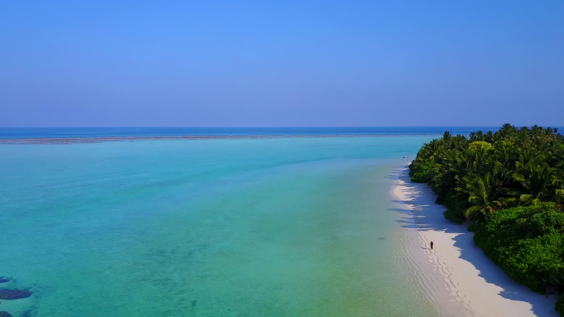 以蓝海和白沙为背景放松海岸线海滩假日视频的预览图