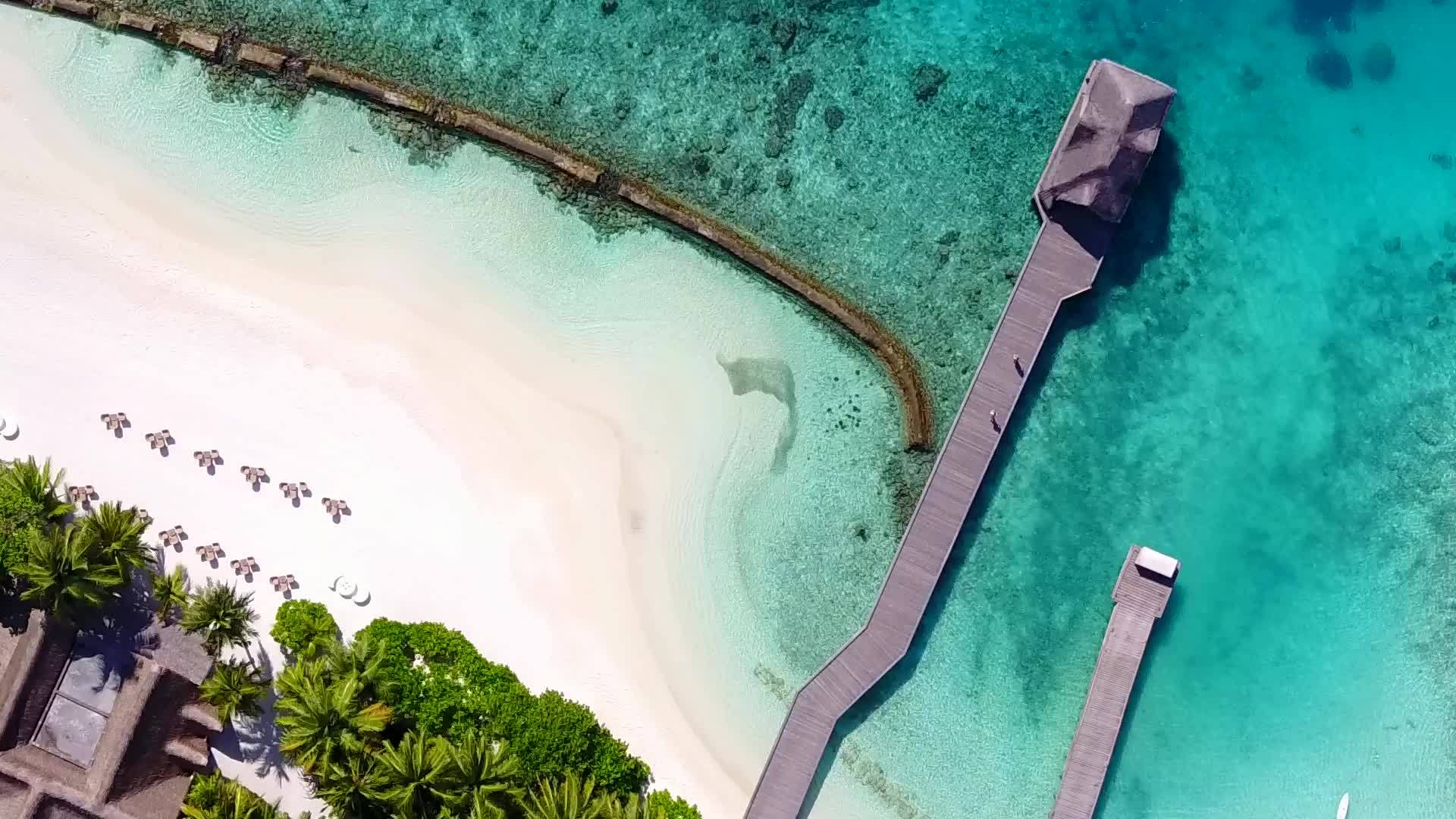 以蓝水和白沙土为背景的海滨海滩空中无人驾驶飞机视频的预览图