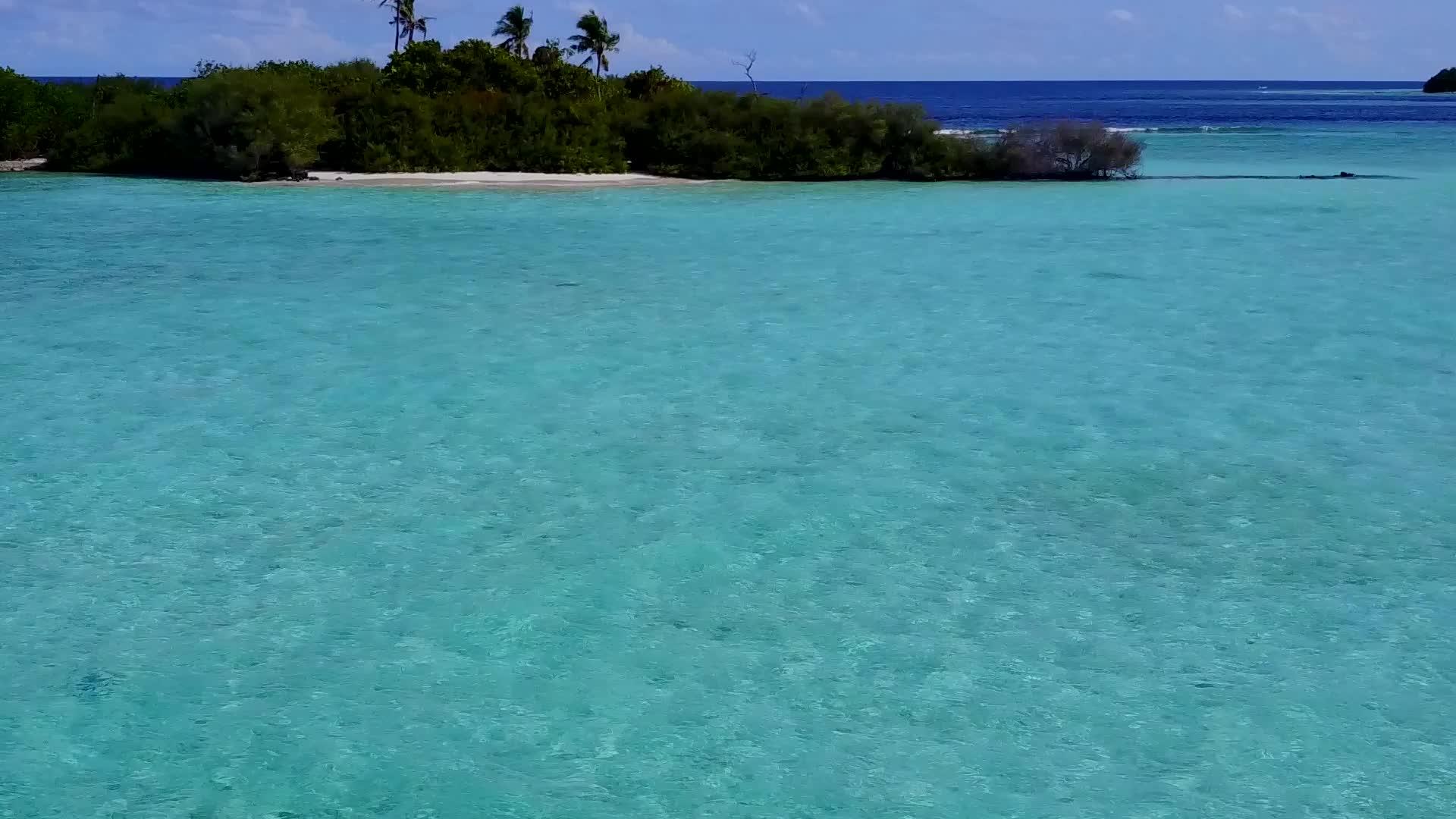 白沙底蓝环礁湖海洋海岸野生生物海滨野生生物空中景观视频的预览图