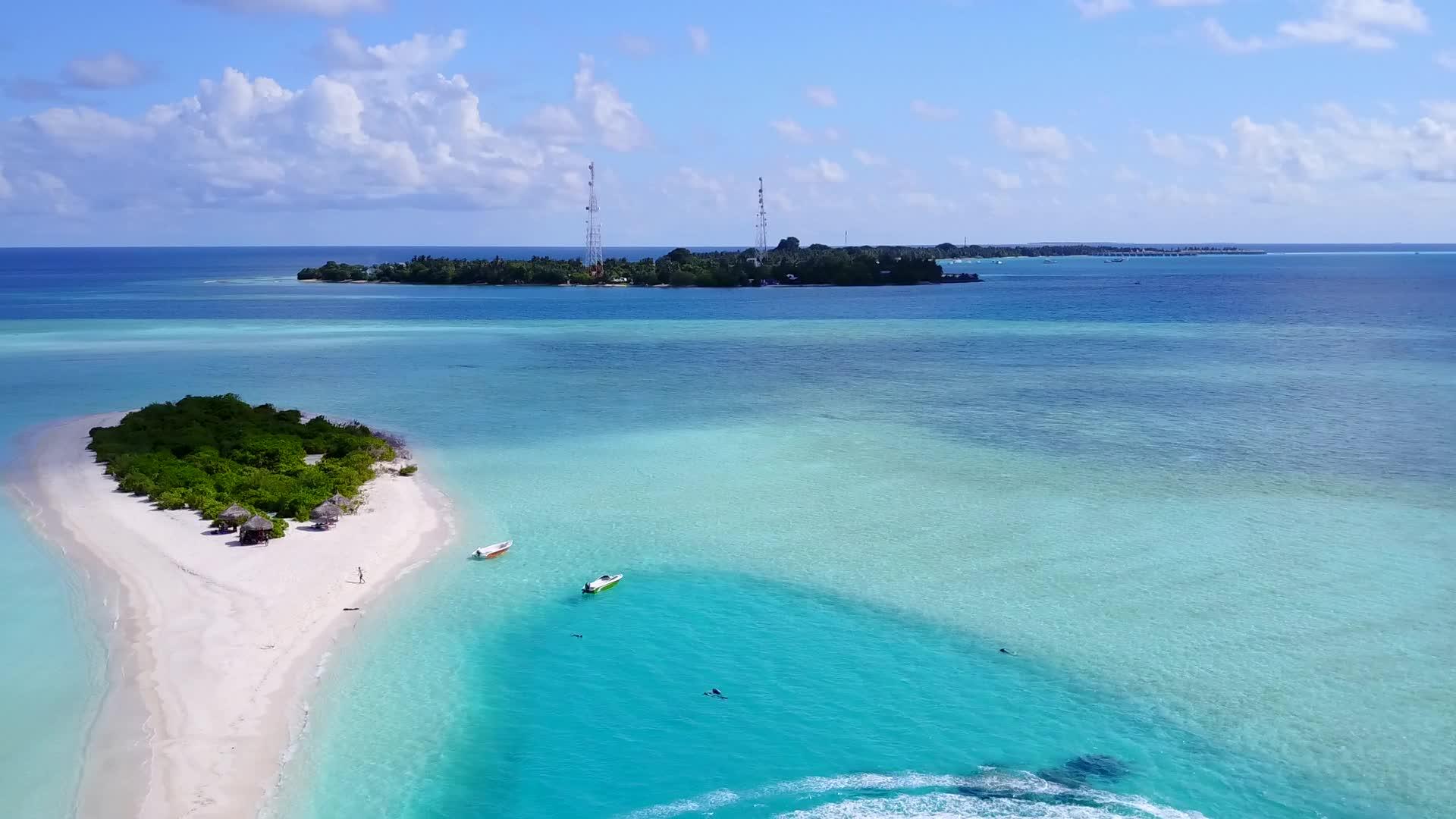 完美的岛屿海滩野生生物由蓝水和浅沙背景的蓝水组成视频的预览图