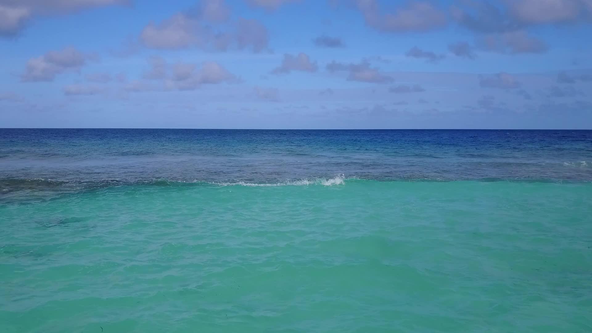 通过蓝海和白沙背景的蓝海观察海滩野生生物的全景视频的预览图