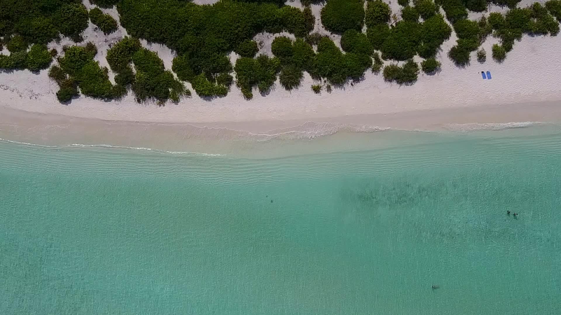 在蓝海和白沙的背景下放松旅游海滩生活方式的无人机景观视频的预览图