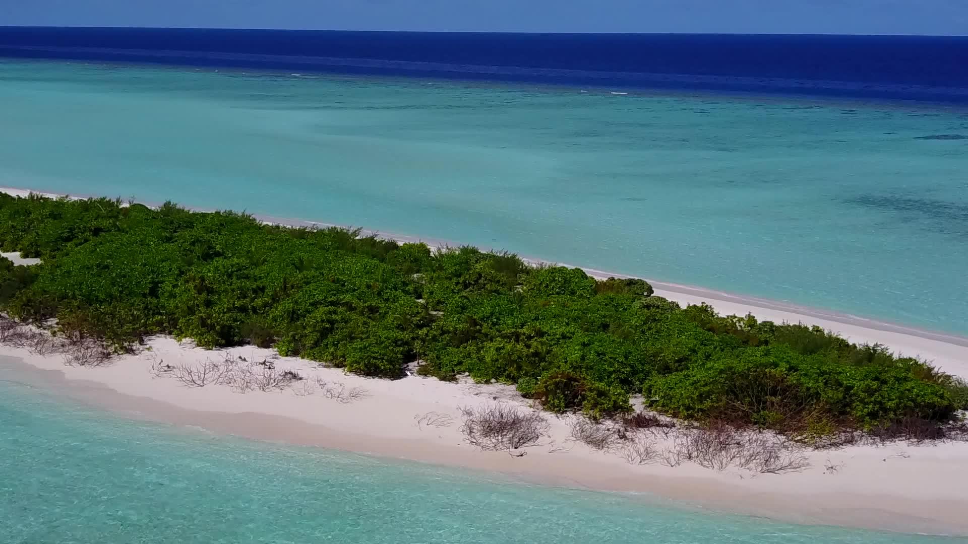 蓝色海洋和清洁沙滩背景的奇怪海滩度假海景视频的预览图