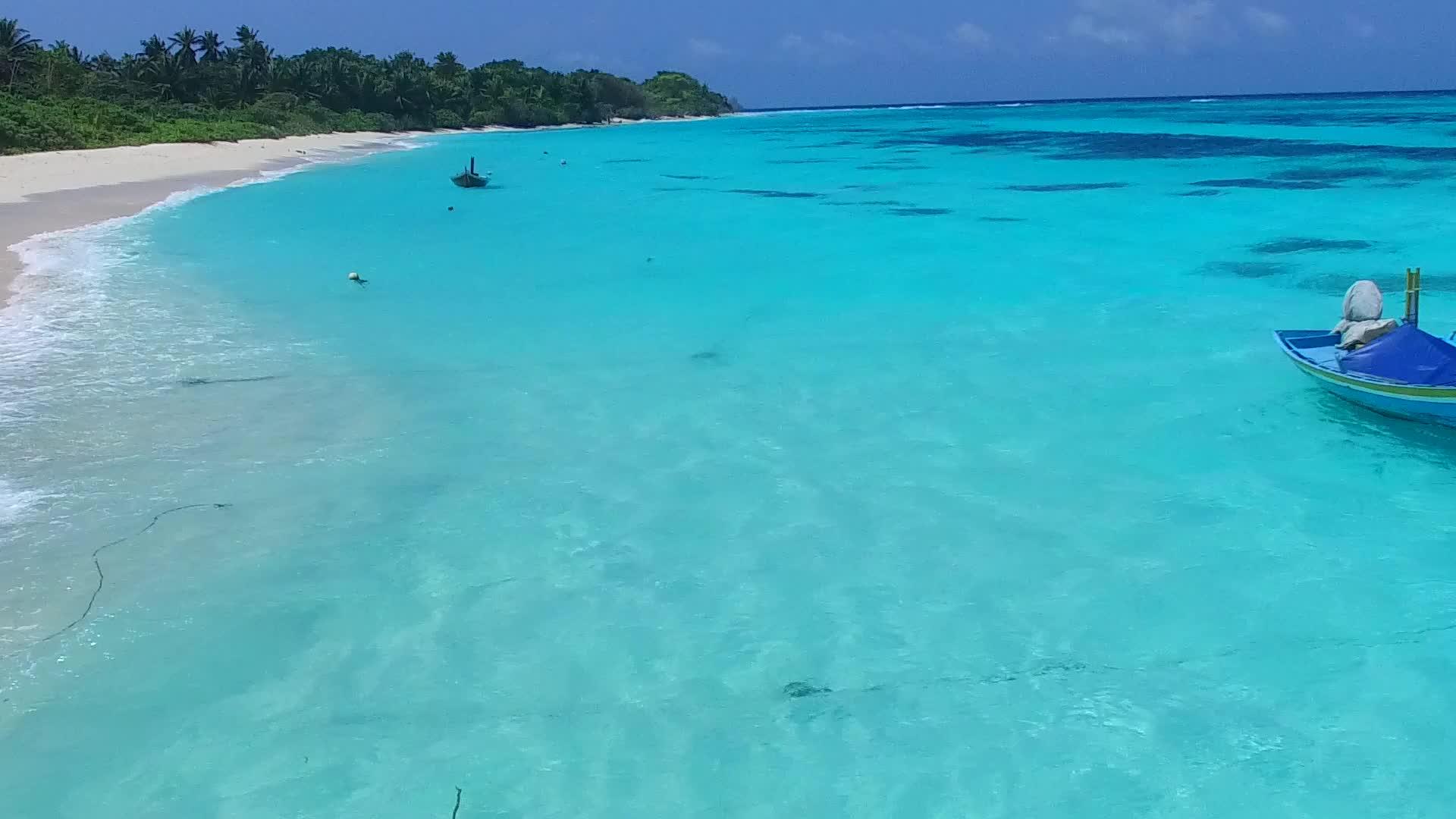 在蓝色水和白色沙子的背景下田园诗般的旅游海滩野生动物无人机在空中视频的预览图