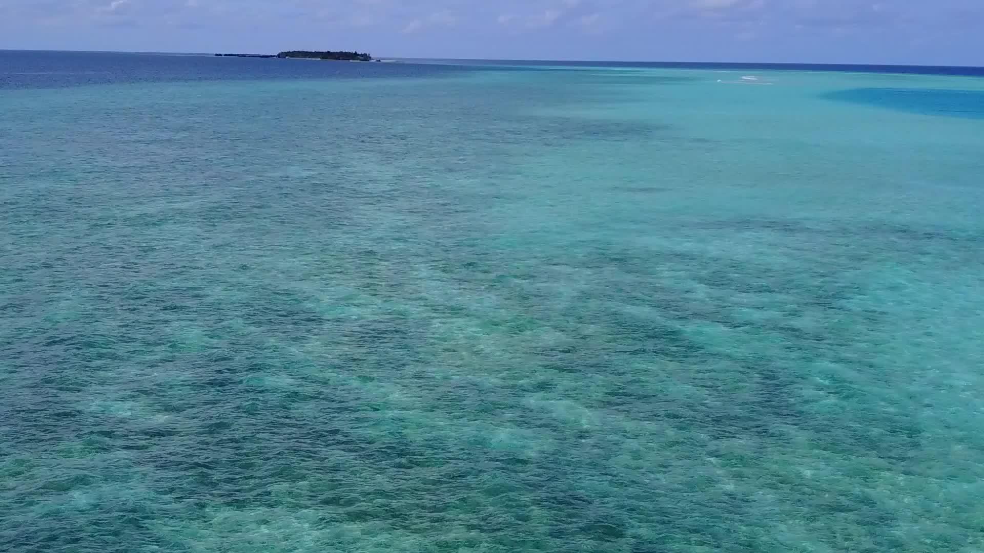 蓝海白沙背景热带泻湖海滩野生动物空中无人机海景视频的预览图
