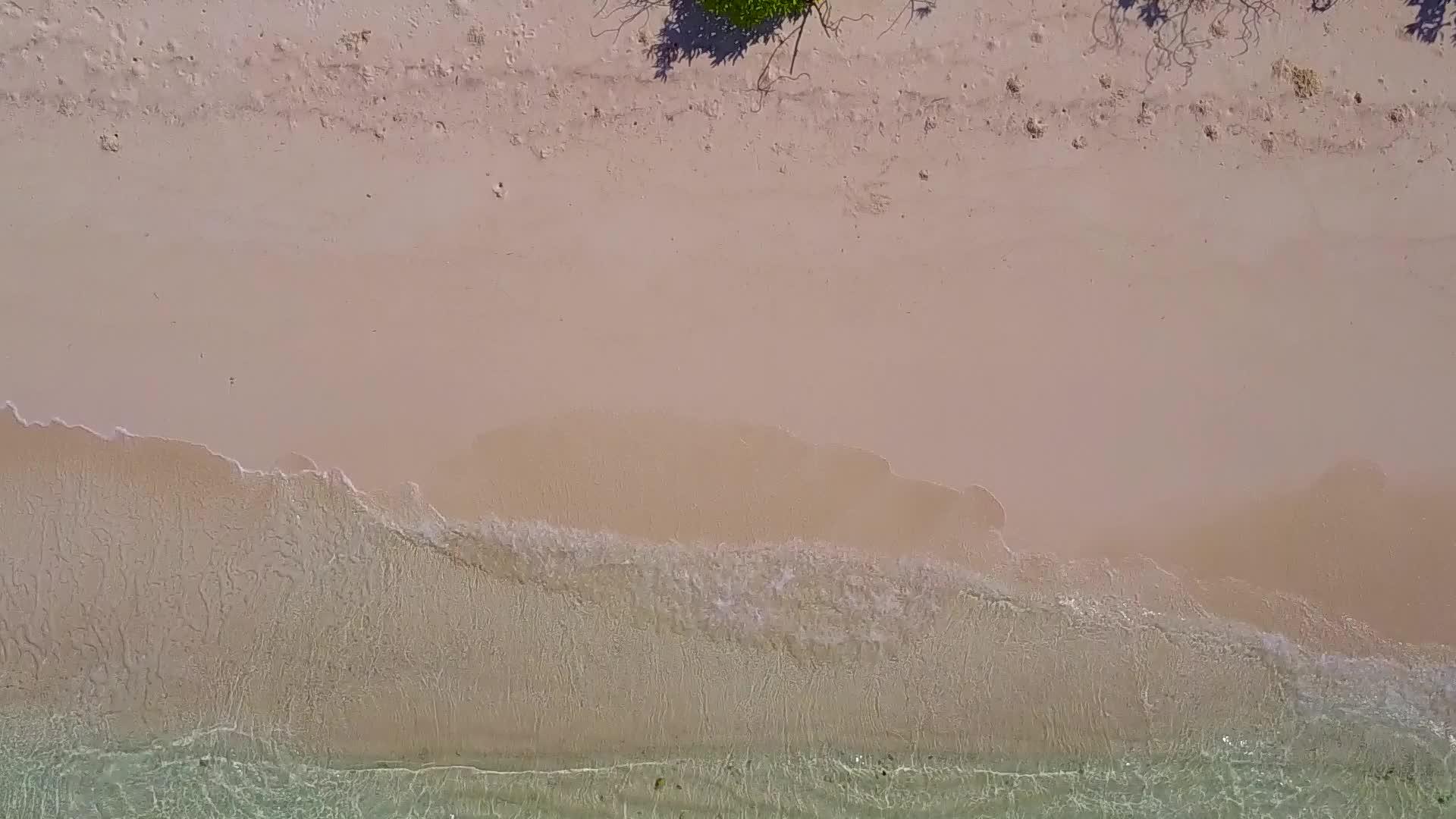 通过蓝绿色的水和干净的海滩背景放松海滩野生生物的空气视频的预览图