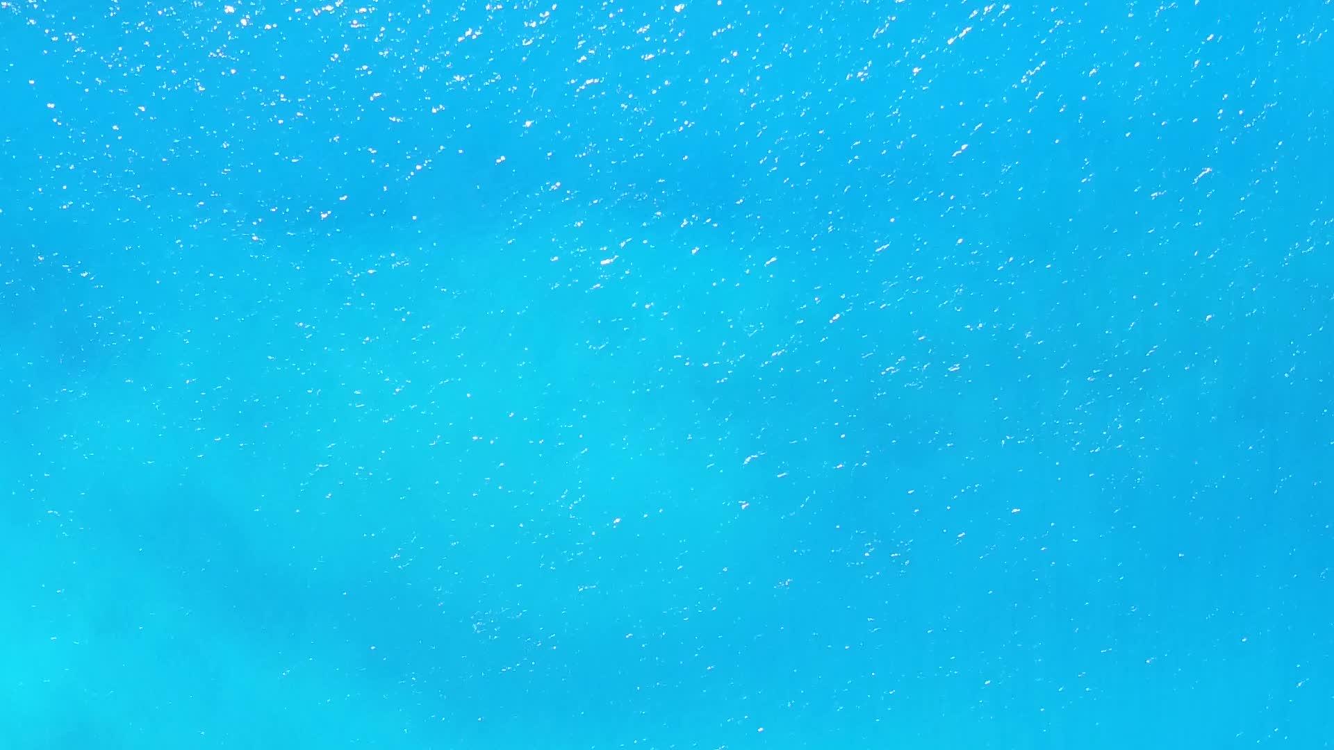 白沙的背景是清海的天堂岛海滩野生生物在空中无人驾驶飞机飞行视频的预览图