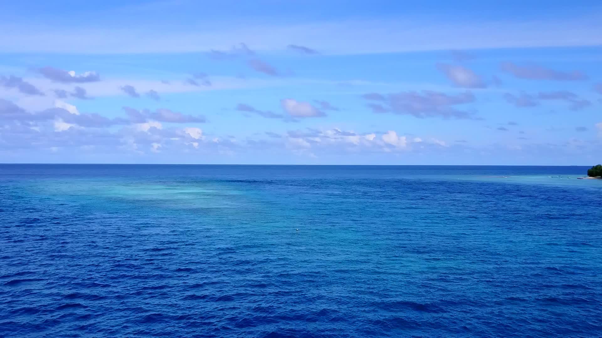 白沙底蓝海豪华度假胜地野生生物结构图案视频的预览图