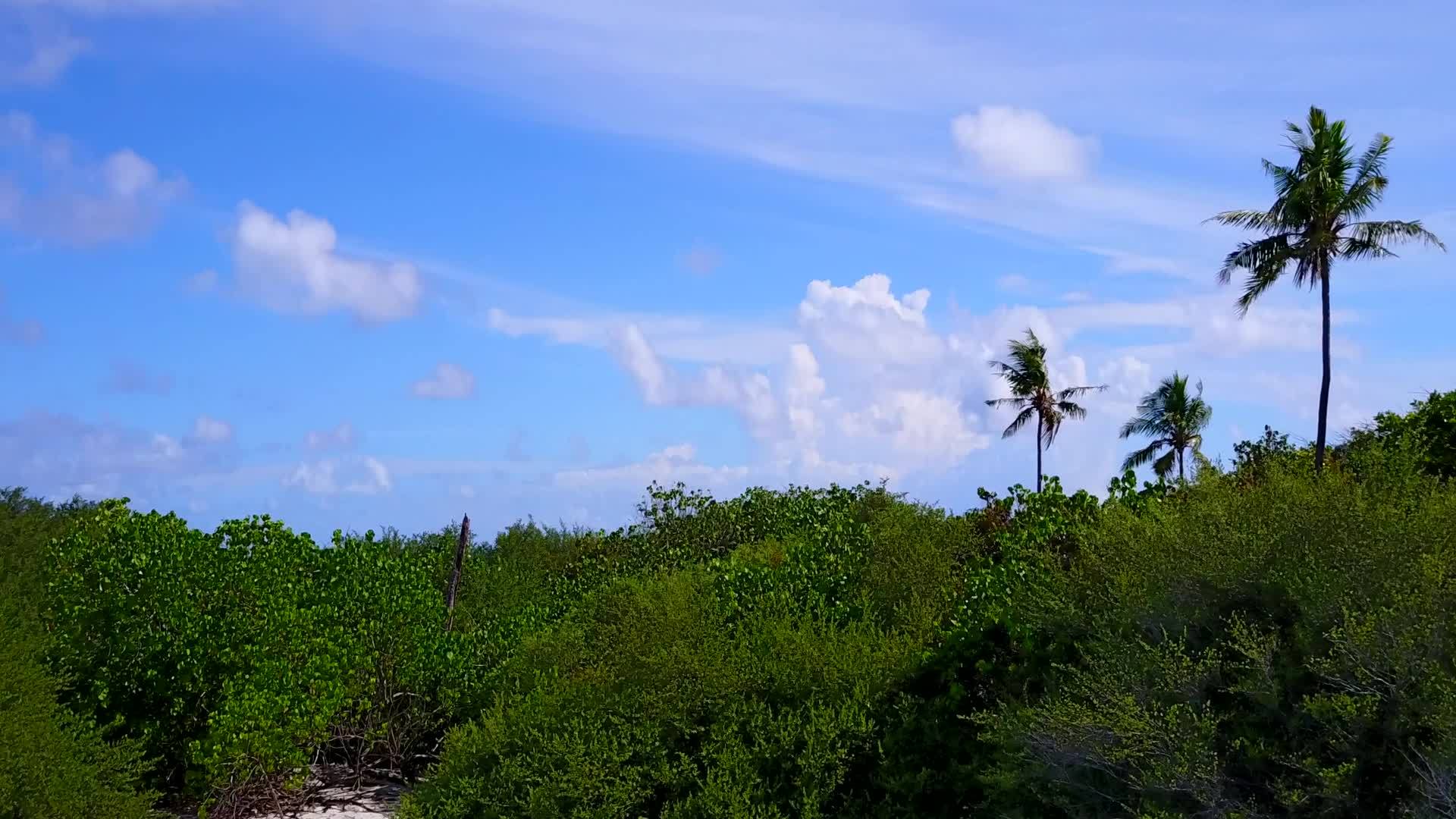 热带海岸海滩冒险无人驾驶飞机摘要视频的预览图