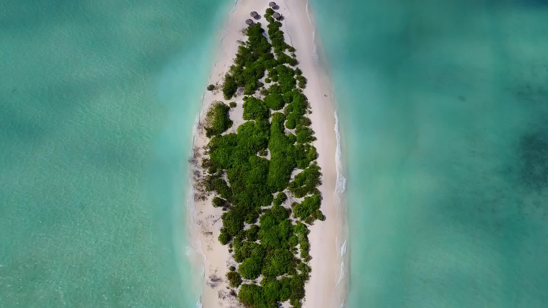 热带海湾海滩以干净的水和干净的沙地为背景视频的预览图