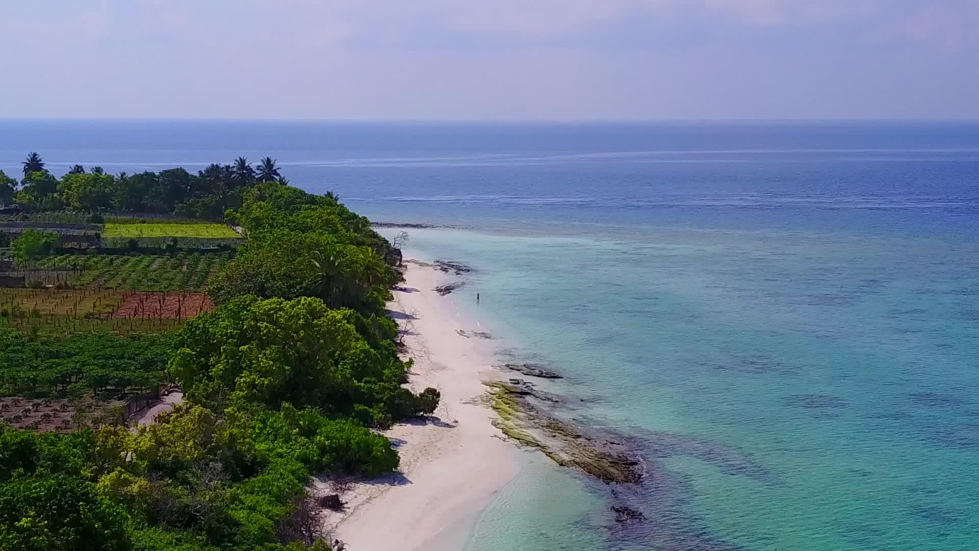 热带泻湖海滩度假的空中无人机海景由绿松石海洋和白色组成视频的预览图