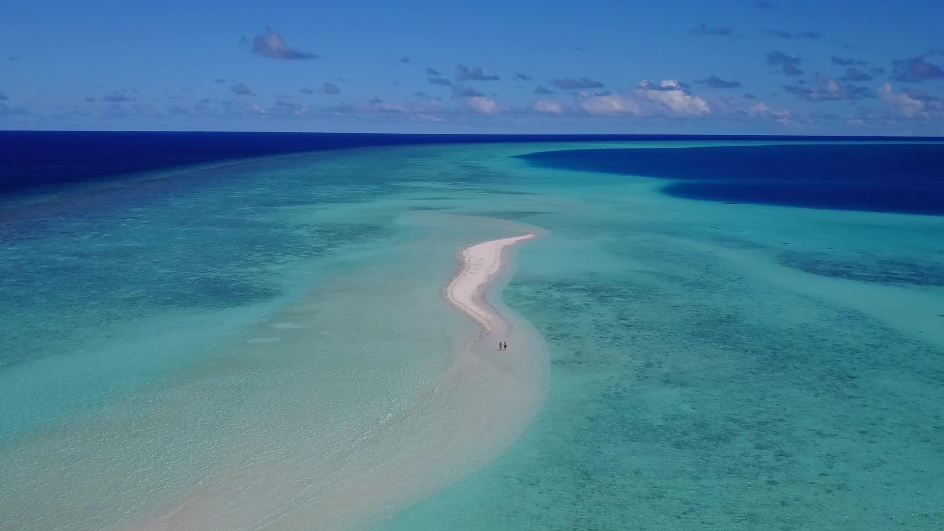 浅沙背景的蓝色环礁湖观察美丽的海滩野生动物的空气视频的预览图