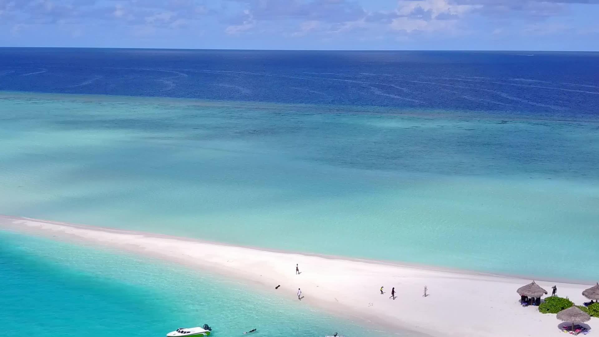 热带度假村海滩野生生物以透明水和浅沙为载体视频的预览图