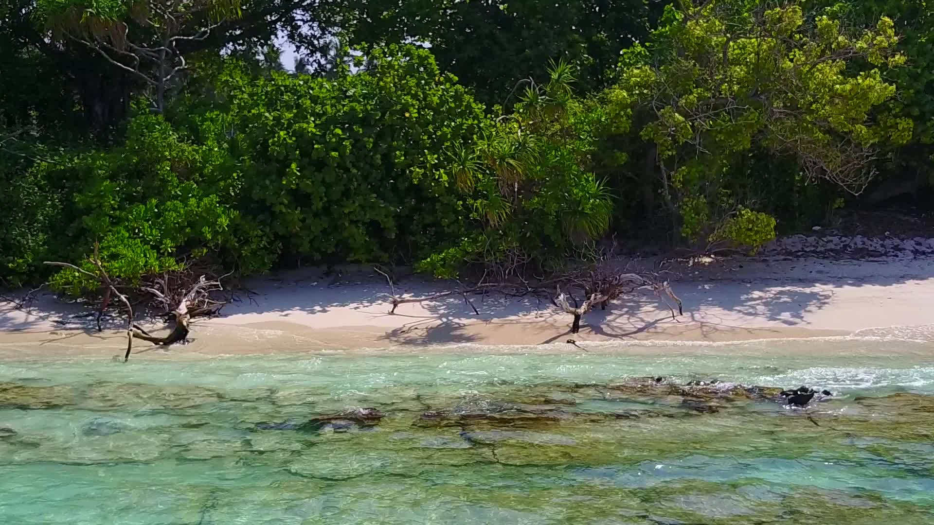 豪华海滩旅行有透明的水和干净的沙滩背景视频的预览图