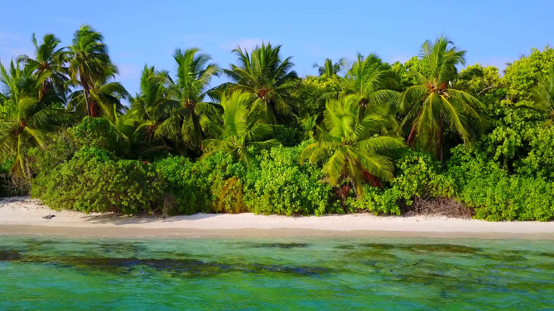 以蓝水和浅沙为背景的伊德利海滨岛屿视频的预览图