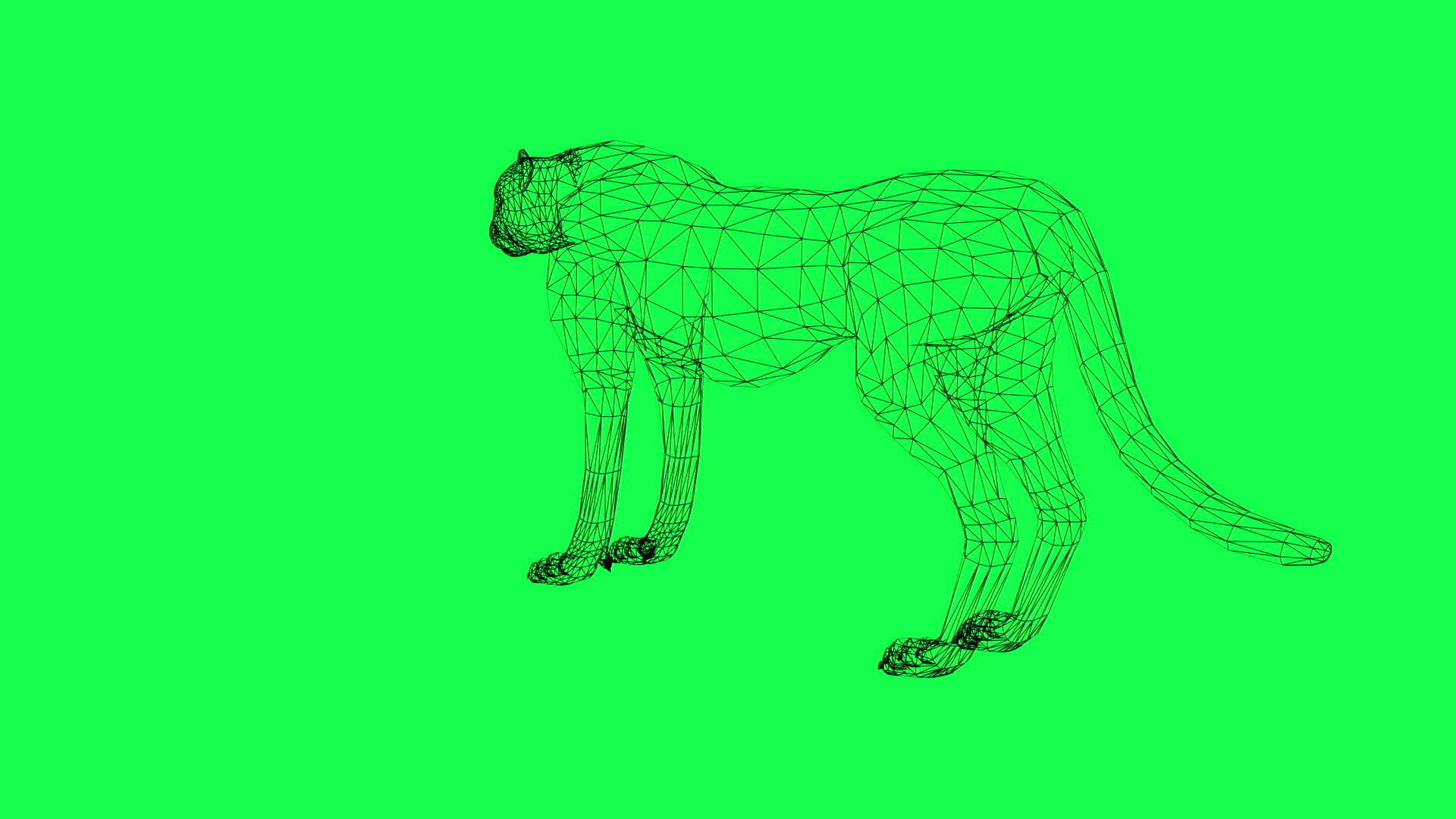3D结构豹子视频的预览图