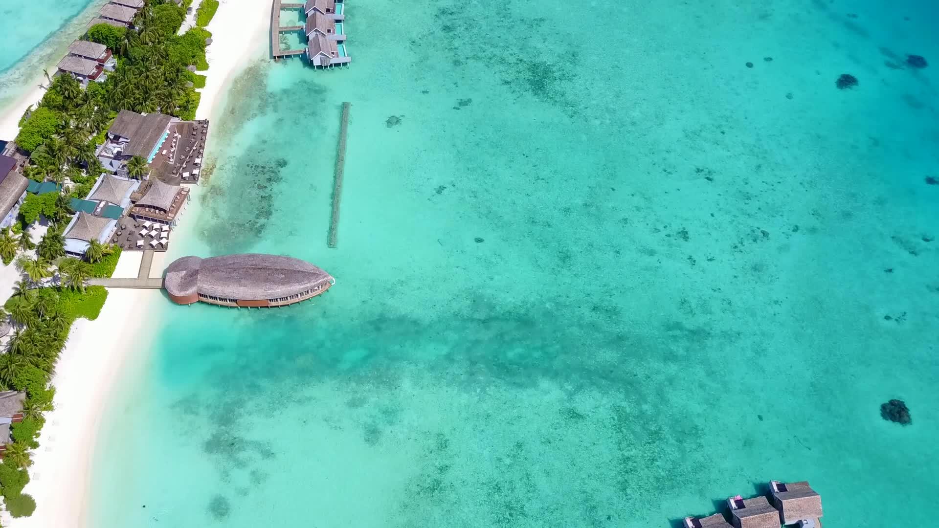 蓝海和热带无人驾驶热带海滩假日清洁海滩背景视频的预览图