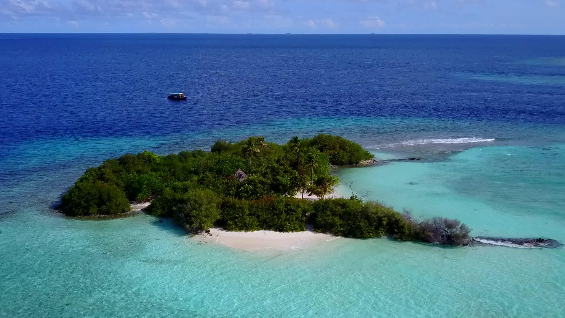 蓝环礁湖和白色沙滩背景下美丽的海滩野生动物在空中无人驾驶视频的预览图