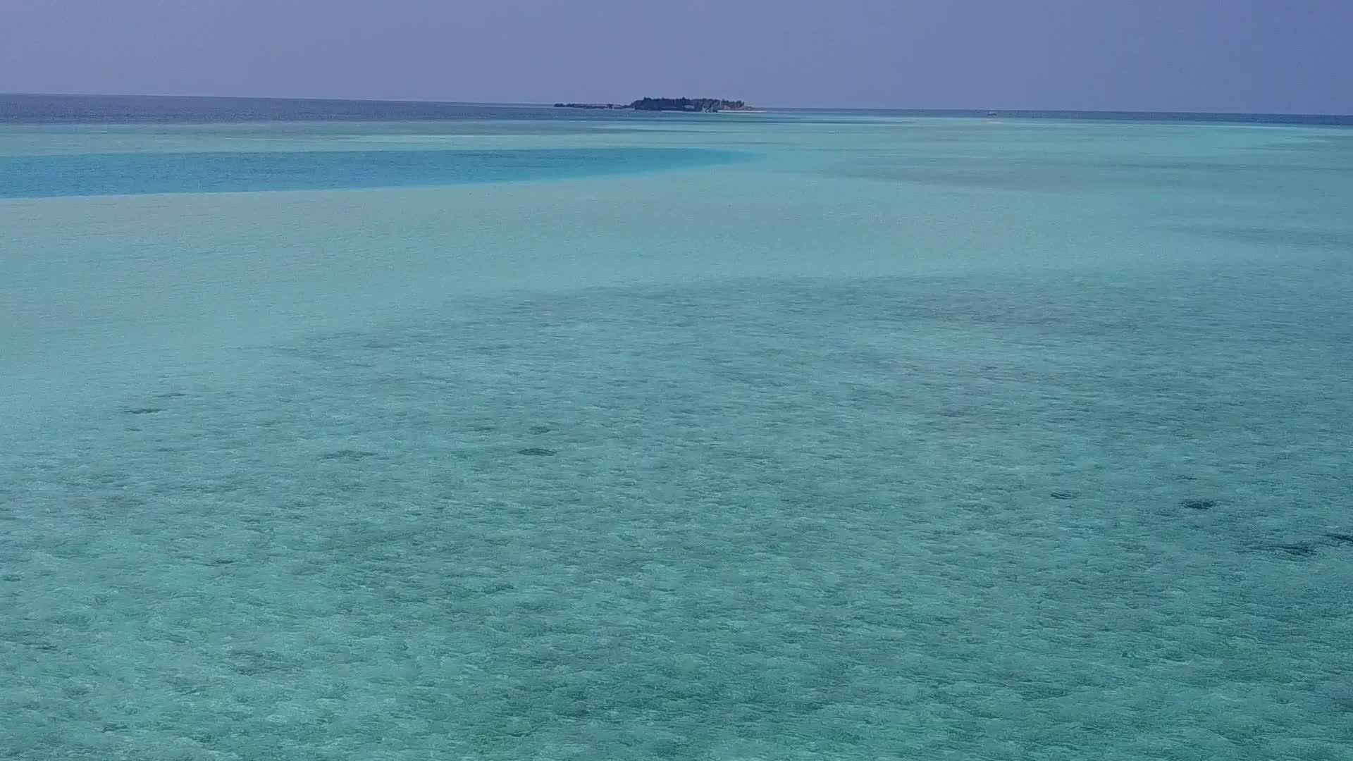 在蓝丽的泻湖海滩野生动物的蓝海和干净的沙质背景下视频的预览图