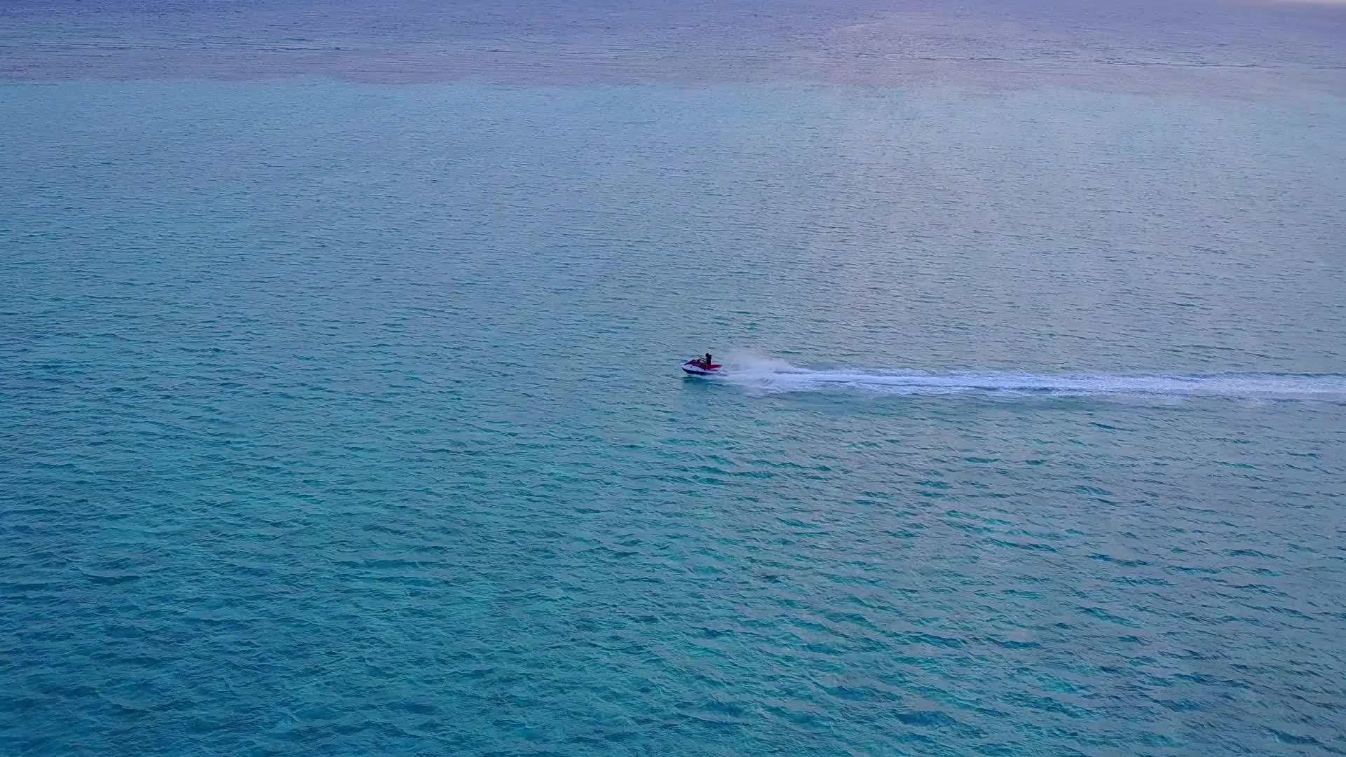在蓝海和白沙的背景下热带旅游海滩野生动物的空中无人机摘要视频的预览图