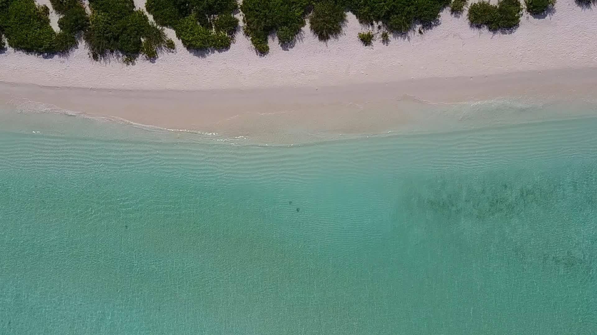 蓝色的水域和白色的沙滩以蓝色的水和白色的沙滩为背景视频的预览图