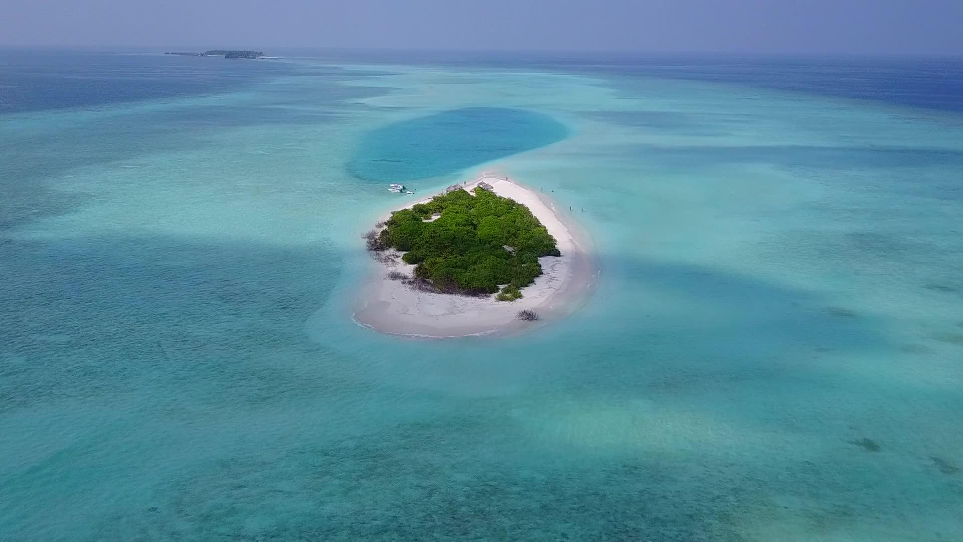 海平面蓝海以白沙为背景是一个完美的度假胜地海滩野生生物视频的预览图