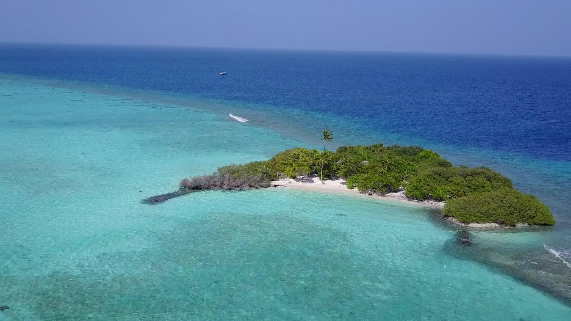 无人驾驶无人驾驶飞机在环礁湖海滩上冒险视频的预览图