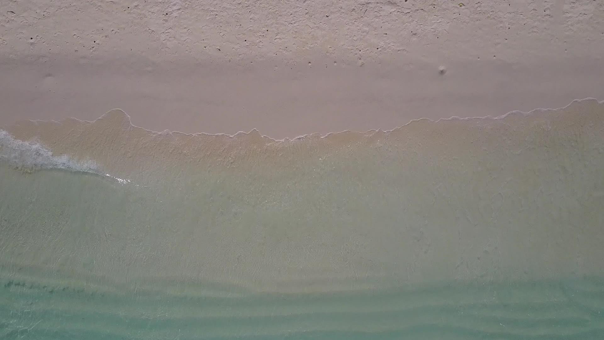 浅海和白色海滩背景的海洋海滩野生生物的性质视频的预览图