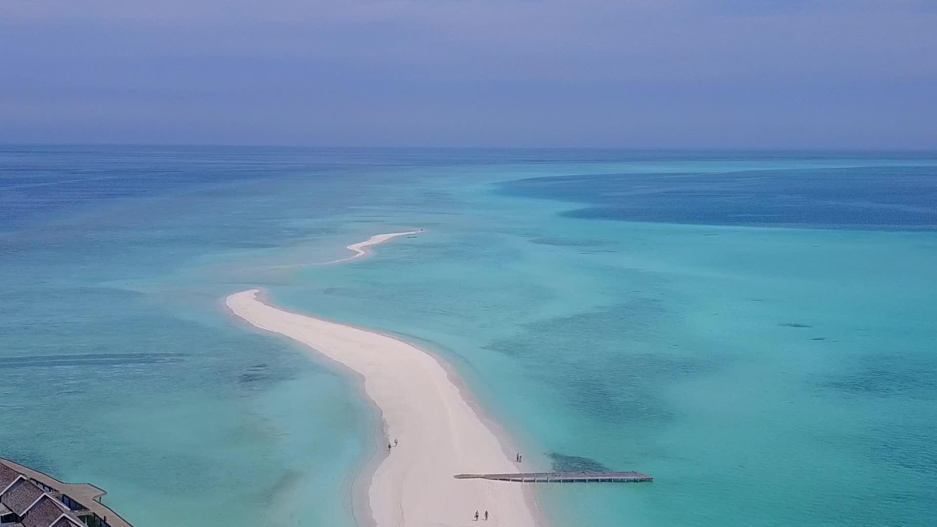 在蓝水和白沙的背景下观察天堂环礁湖海滩上的野生动物视频的预览图