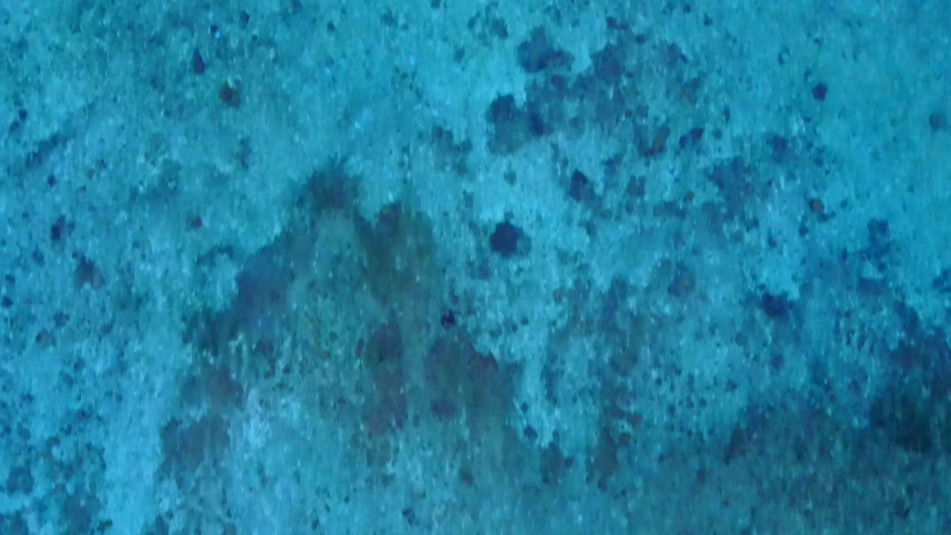 蓝海热带海滩生活方式蓝海和白色海滩背景视频的预览图
