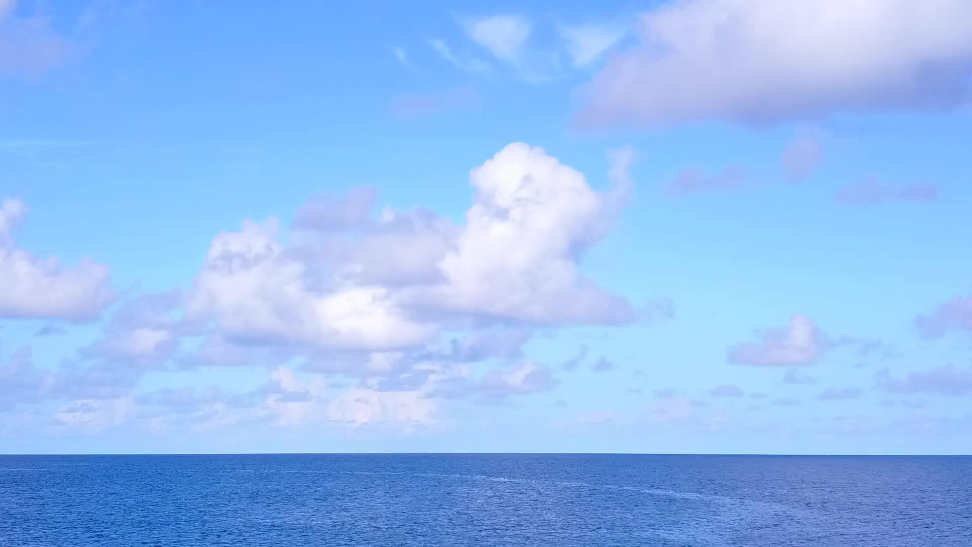 完美的环礁湖海滩野生动物利用白沙底浅水在空中无人驾驶视频的预览图