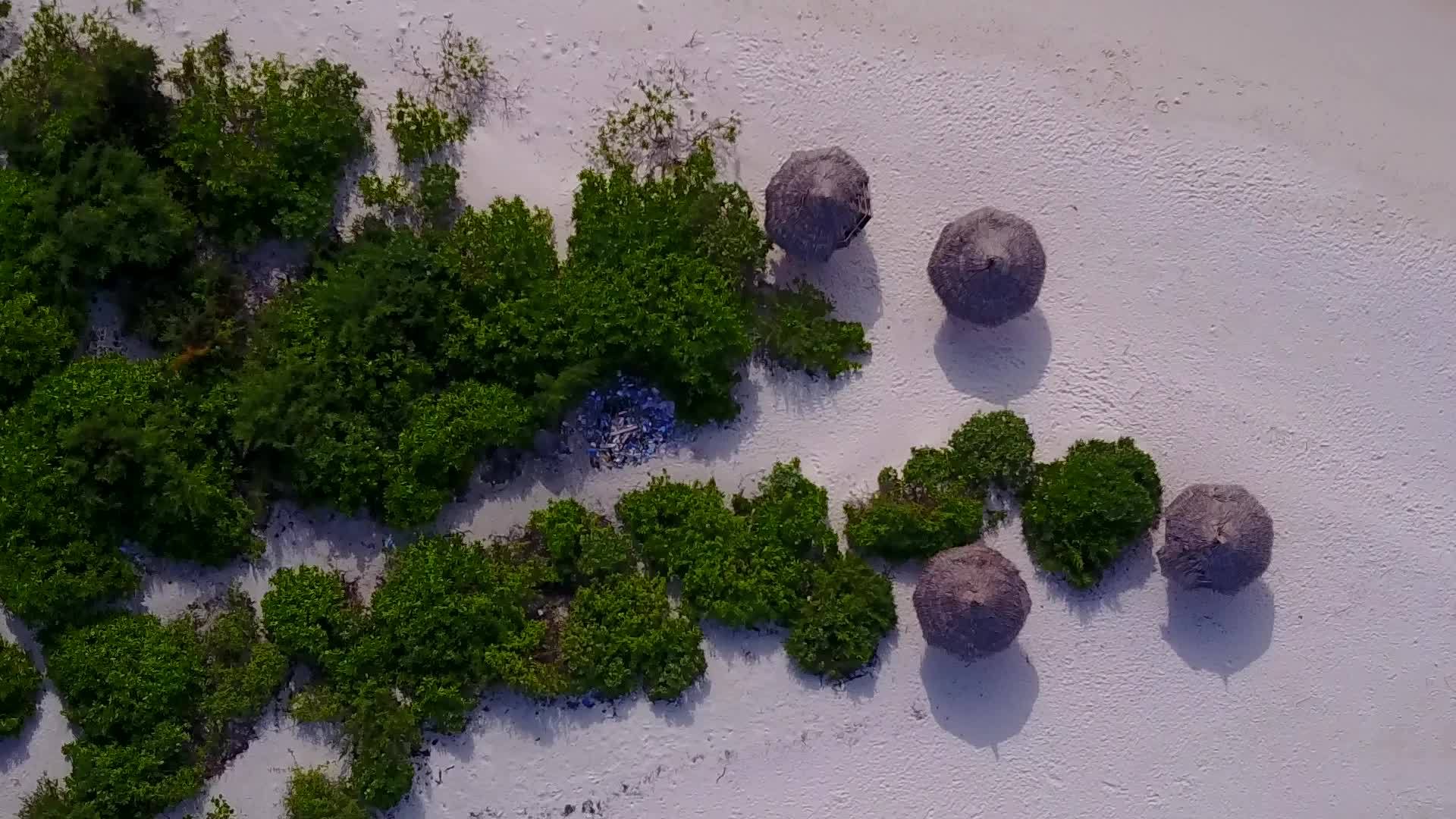 异国海岸海滩野生生物具有透明海洋和白色沙尘的背景视频的预览图