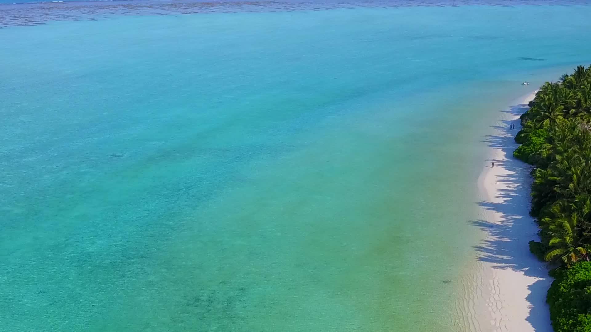 在明亮的沙质背景下蓝色的泻湖和田园诗般的海滩野生动物视频的预览图