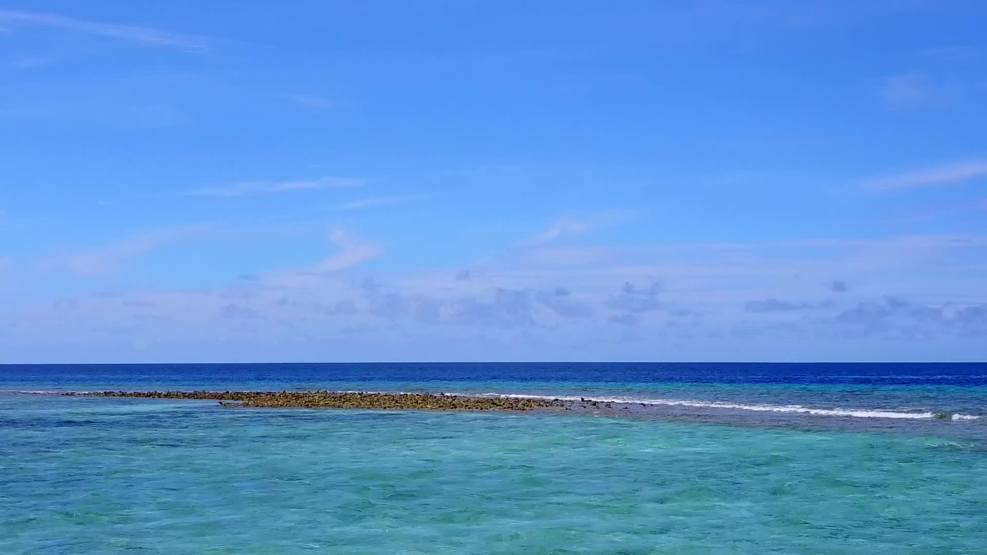 在蓝绿海和白沙的背景下放松旅游海滩野生动物的无人机视频的预览图