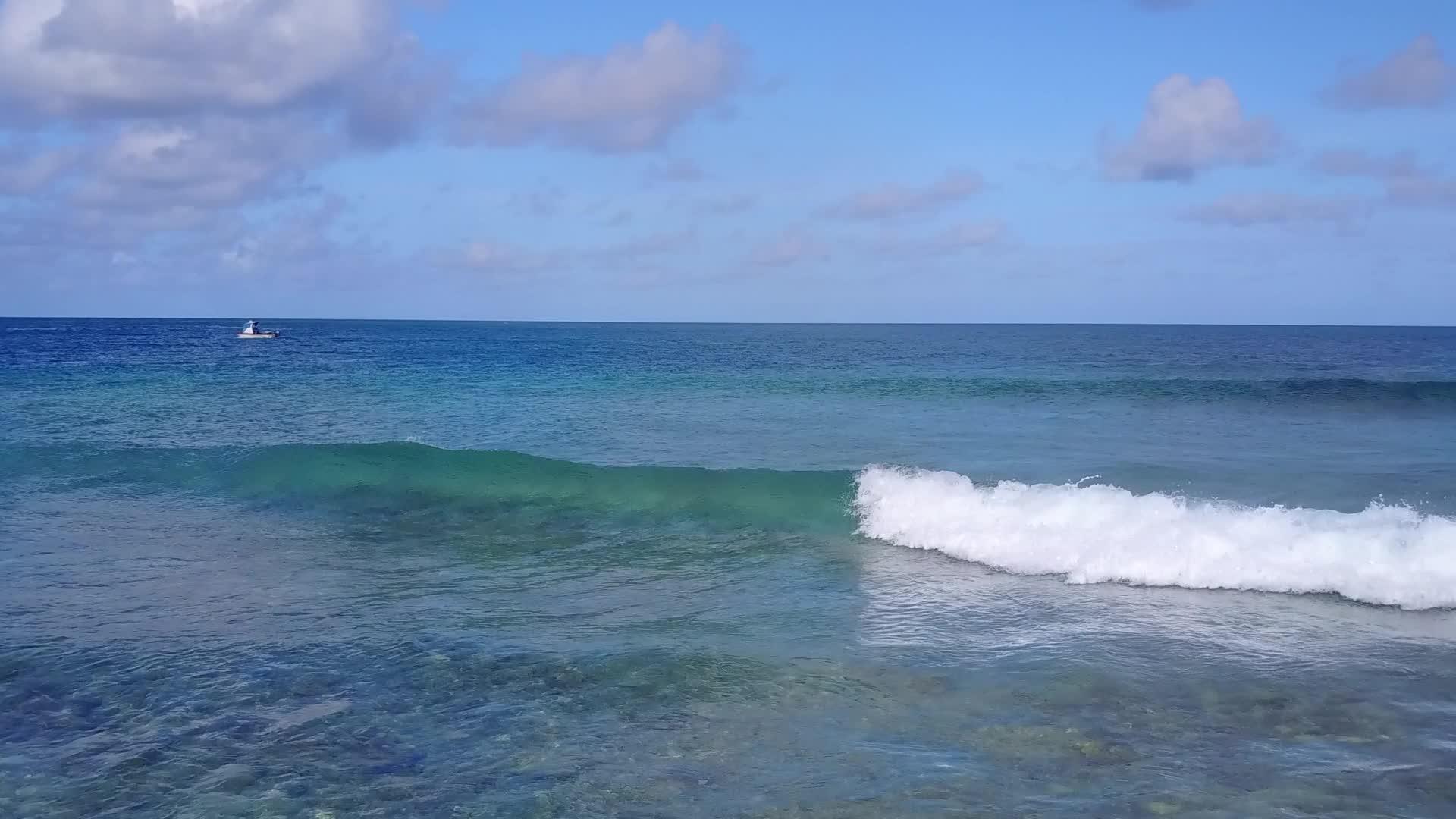 蓝海完美的环礁湖海滩野生动物通过蓝海和清洁的沙土背景视频的预览图