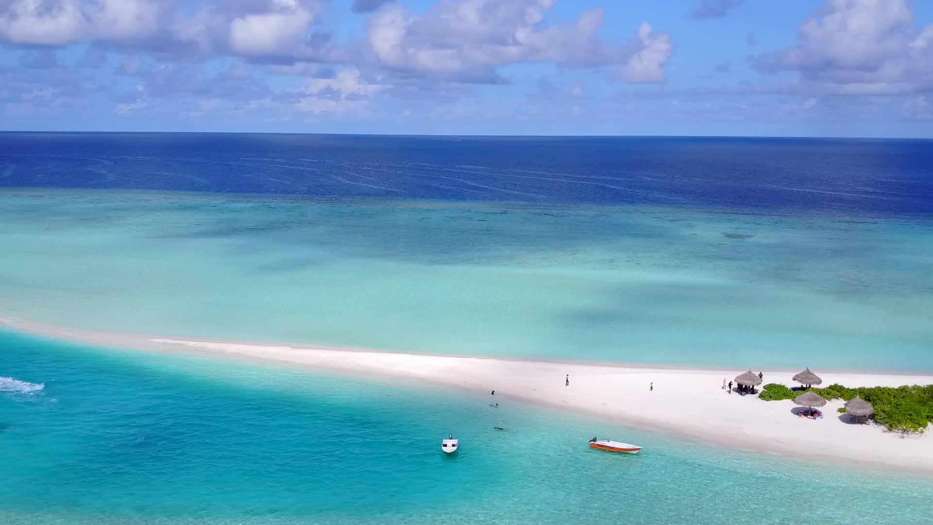 完美的蓝绿色海洋和白沙背景的海岸海滩野生生物特征视频的预览图