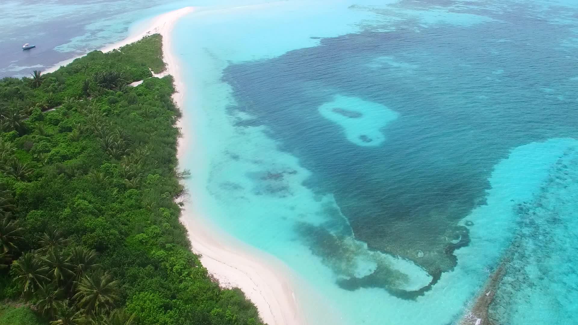 清沙底蓝水的宁静海岸线探索空中纹理清理沙土背景视频的预览图