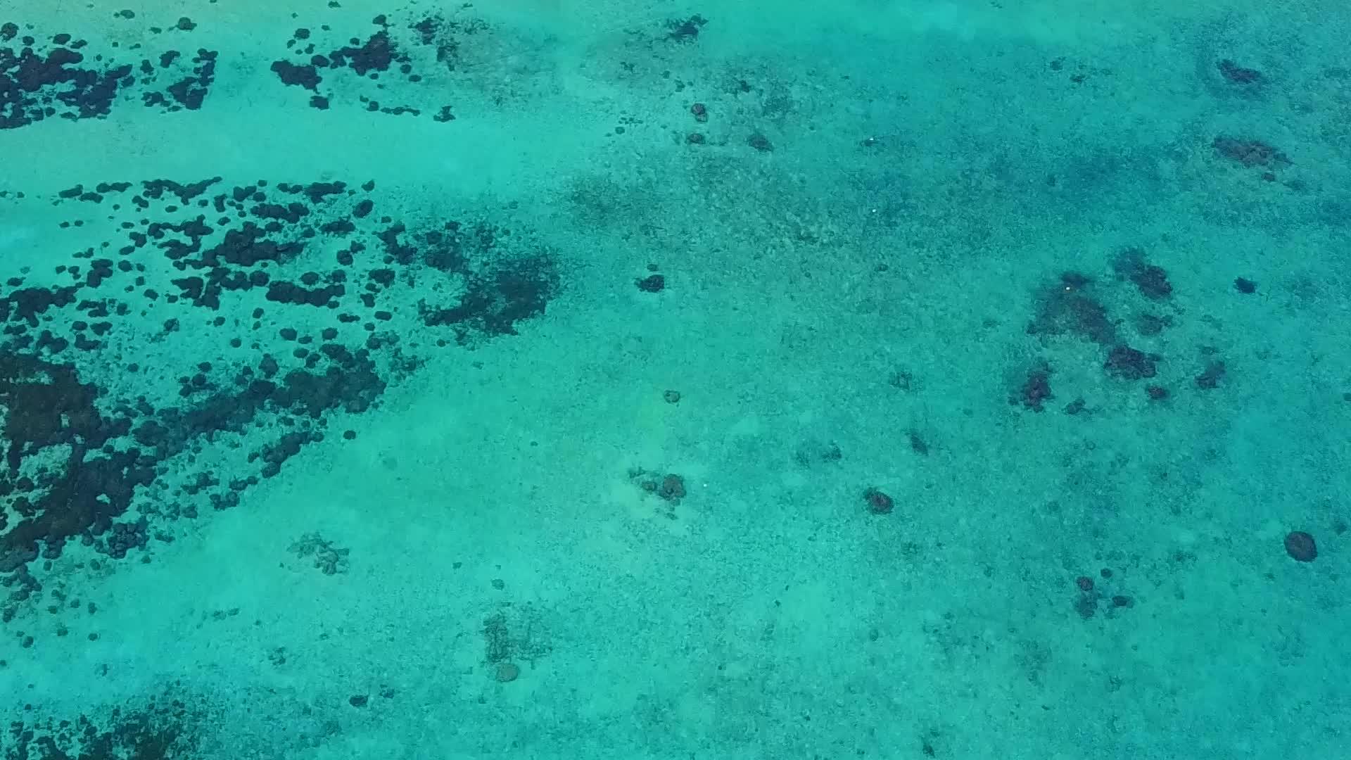 以蓝海和浅沙为例豪华旅游海滩生活方式视频的预览图