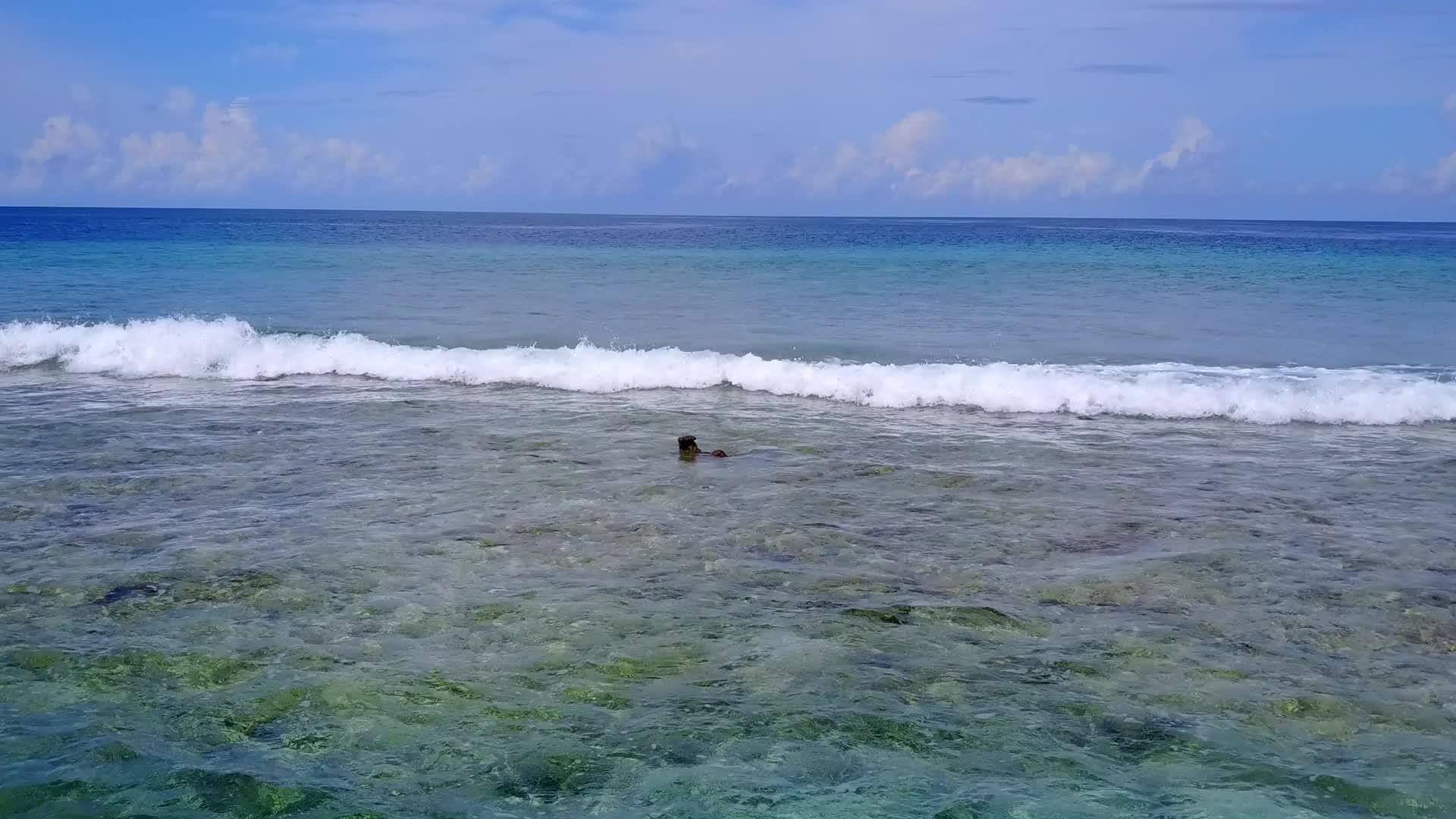 清沙背景水蓝海田园诗般的海岸海滩之旅视频的预览图
