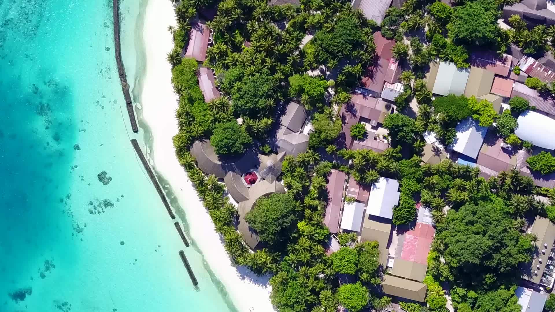 蓝环礁在海滩旅游冒险中有一个干净的沙土背景视频的预览图