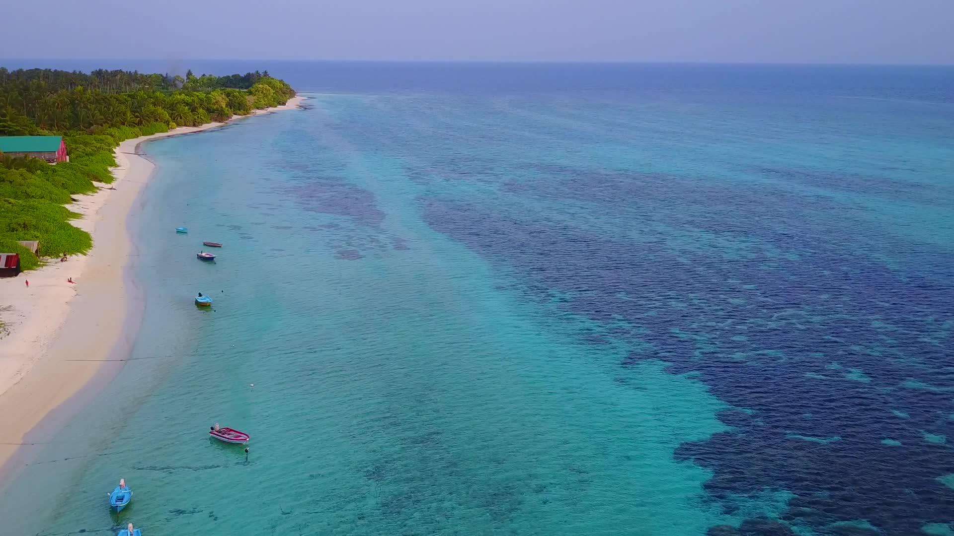 蓝色的海洋和白色的沙滩背景蓝色的海洋中无人驾驶的天堂海岸海滩野生动物视频的预览图